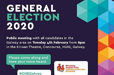 ONE Galway Election 2020
